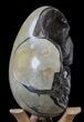 Septarian Dragon Egg Geode - Black Crystals #40936-2